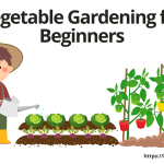 Vegetable Gardening for Beginners